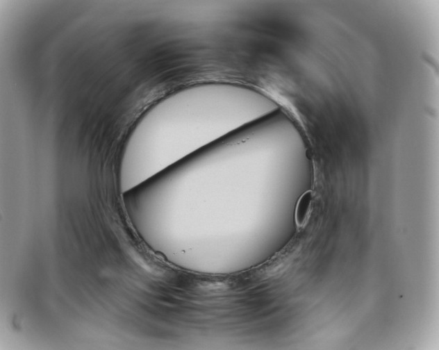 X0000095940061200801110903