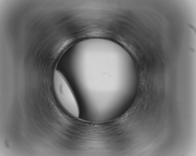 X0000095940062200801110903