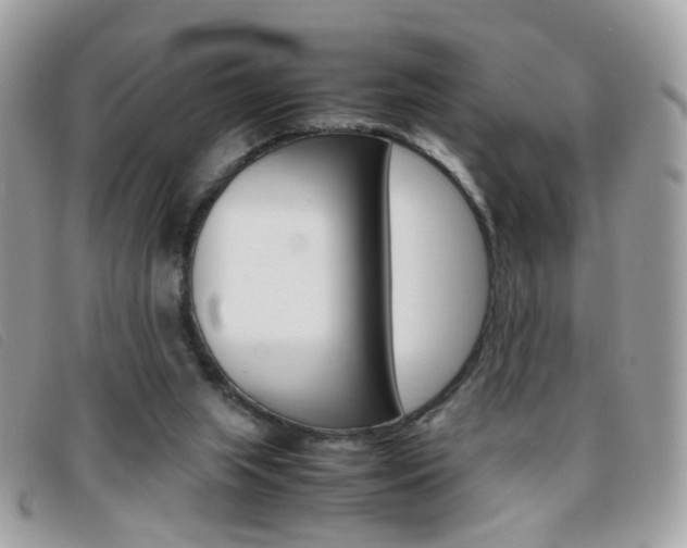 X0000095940063200801110903
