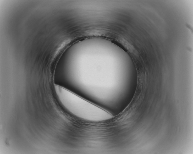 X0000095940064200801110903