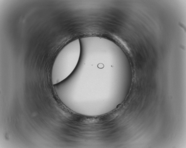 X0000095940065200801110903