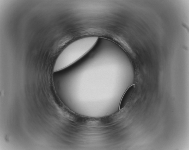 X0000095940066200801110903