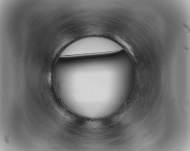 X0000095940067200801110903