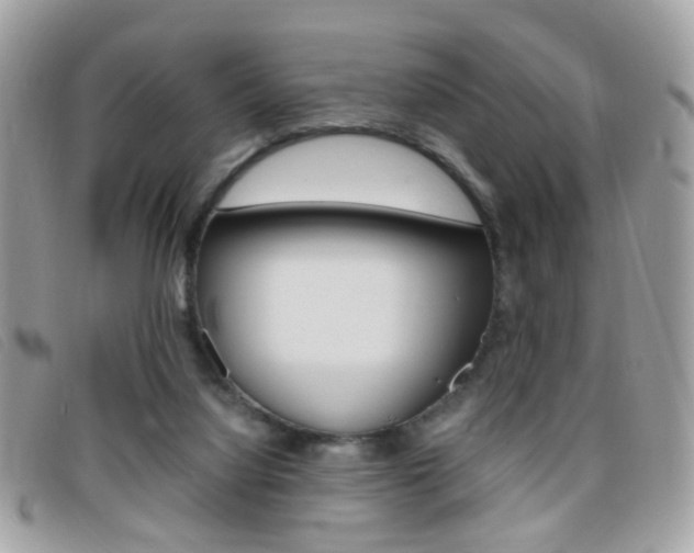 X0000095940068200801110903