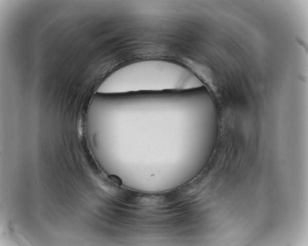 X0000095940069200801110903