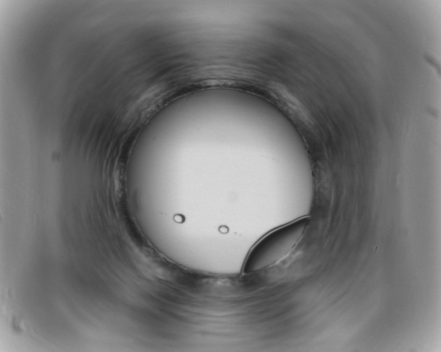X0000095940074200801110903