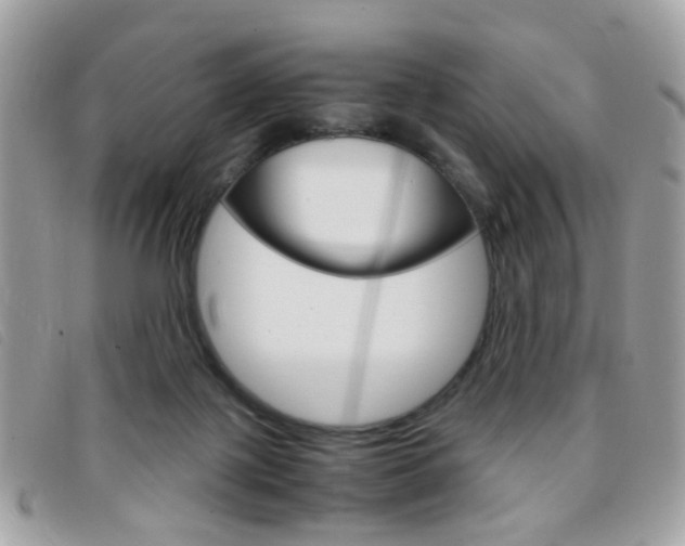 X0000095940075200801110903
