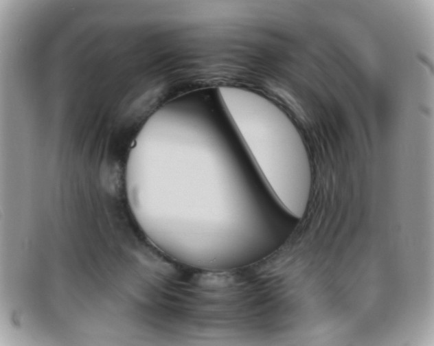 X0000095940077200801110903