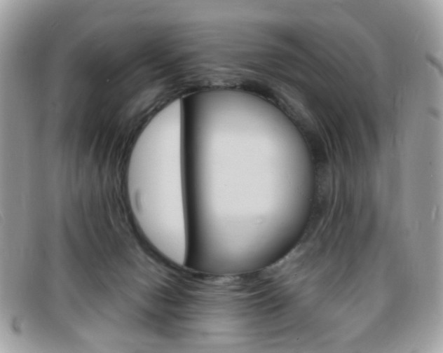 X0000095940078200801110903