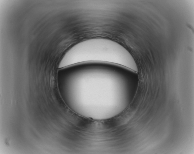 X0000095940080200801110903