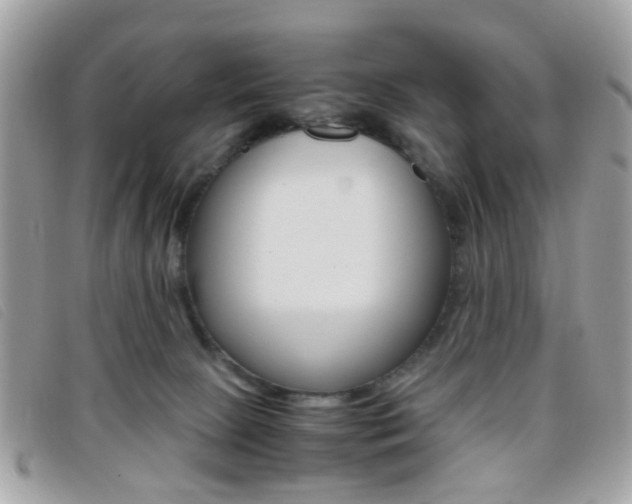 X0000095940081200801110903