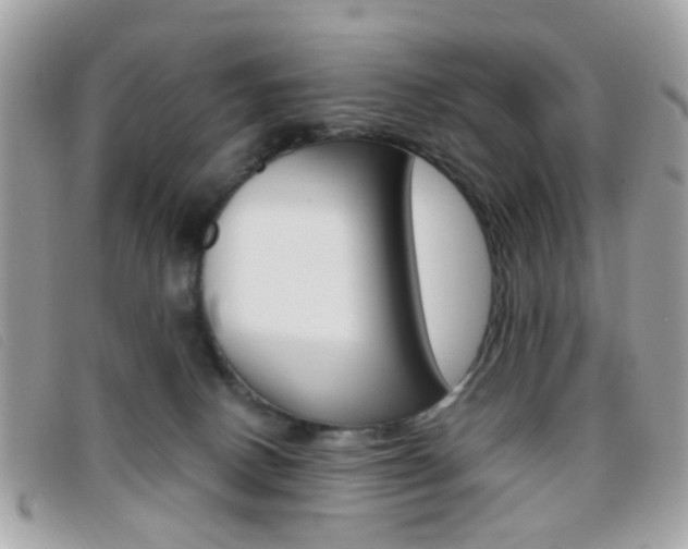 X0000095940082200801110903