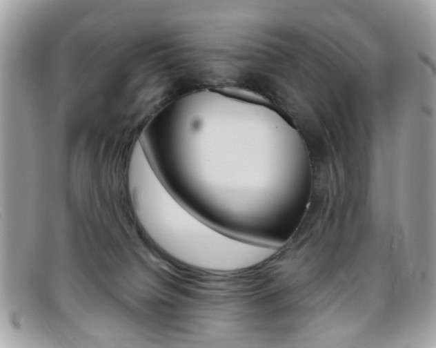 X0000095940084200801110903