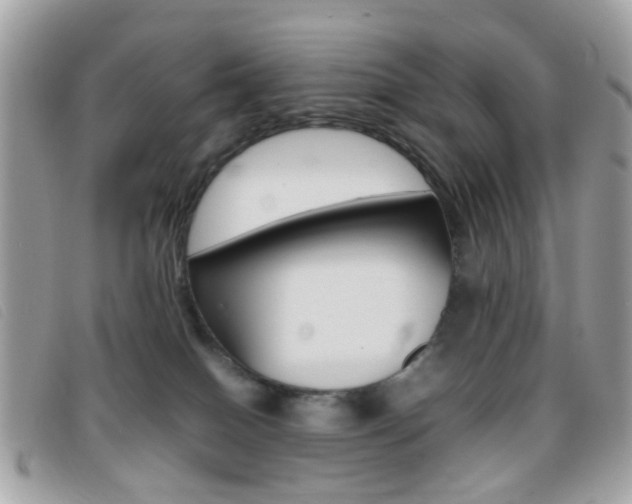 X0000095940086200801110903