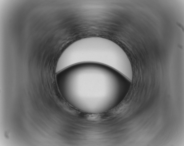 X0000095940088200801110903