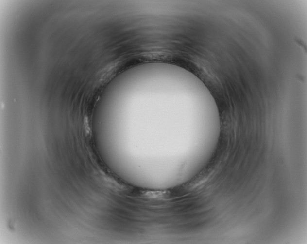 X0000095940089200801110904
