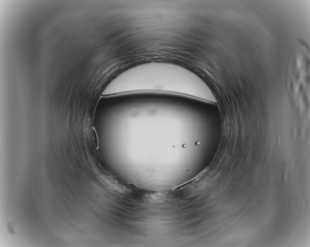 X0000095940092200801110904