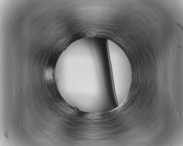 X0000095940094200801110904