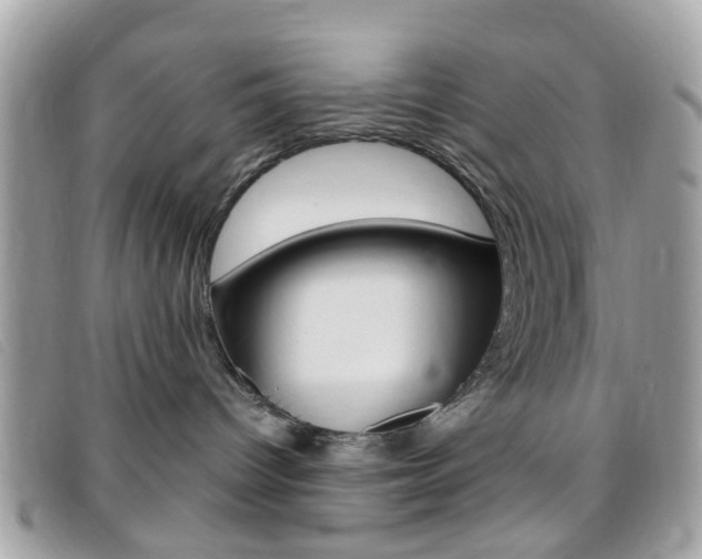 X0000095940096200801110904