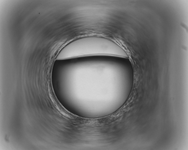 X0000095940097200801110903