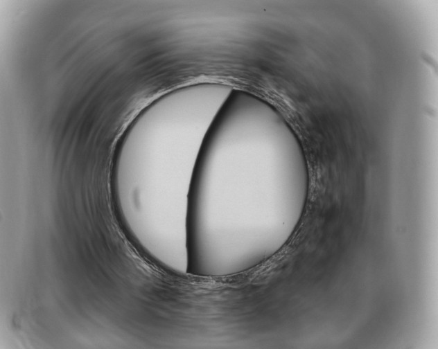 X0000095940098200801110903