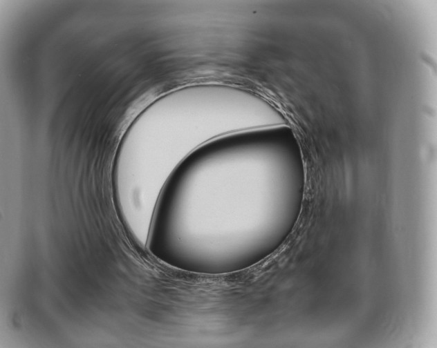 X0000095940099200801110903
