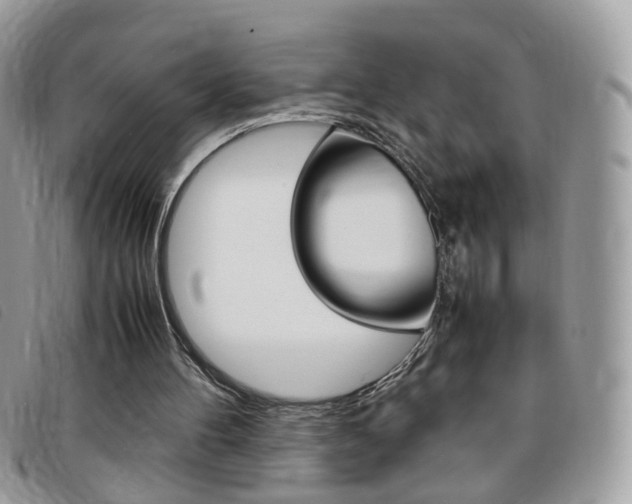 X0000095940100200801110903