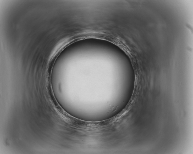 X0000095940101200801110903