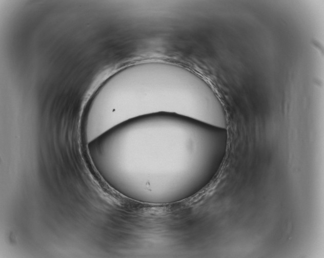 X0000095940102200801110903