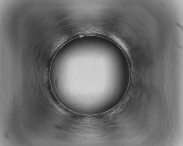 X0000095940105200801110903