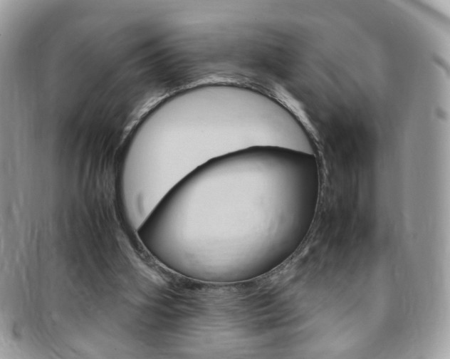 X0000095940106200801110903