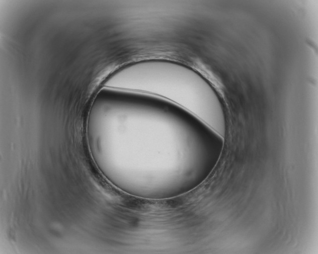 X0000095940107200801110903