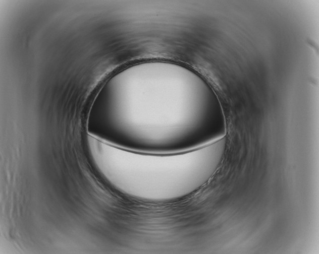 X0000095940108200801110903