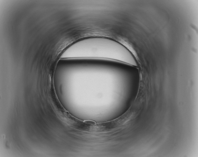 X0000095940109200801110903