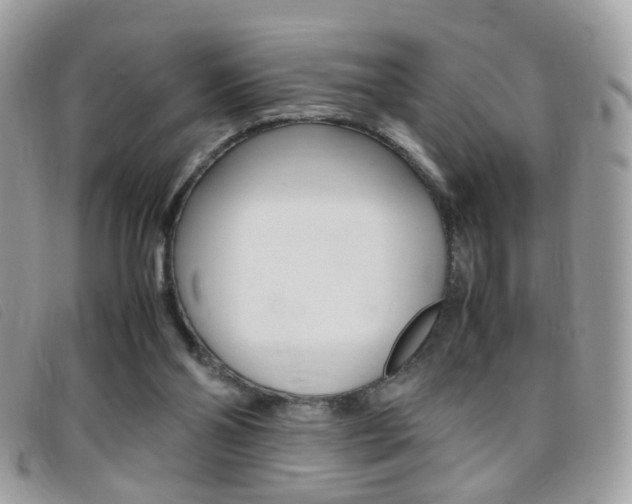 X0000095940110200801110903