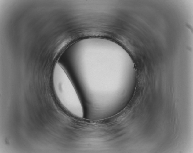 X0000095940111200801110903
