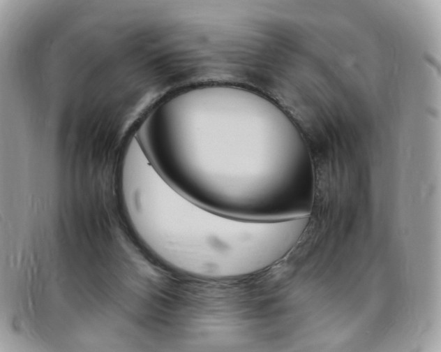 X0000095940112200801110903