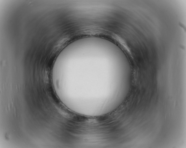 X0000095940114200801110903