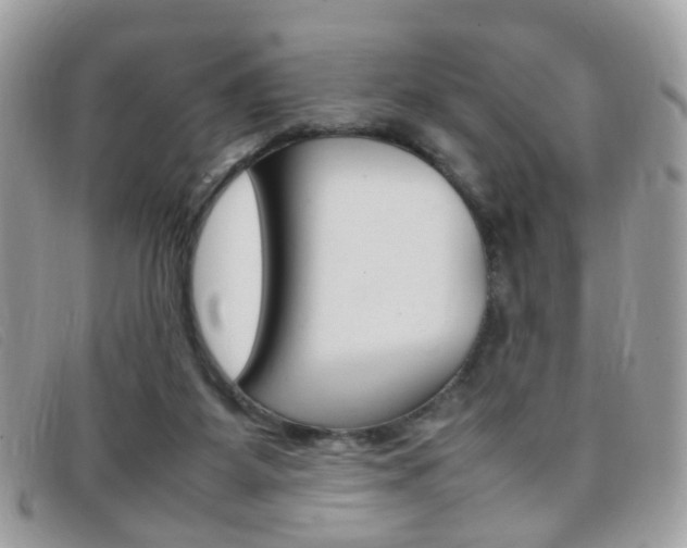 X0000095940115200801110903