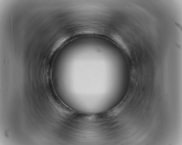 X0000095940116200801110903
