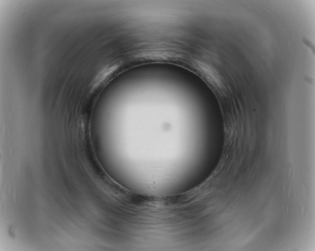 X0000095940120200801110903