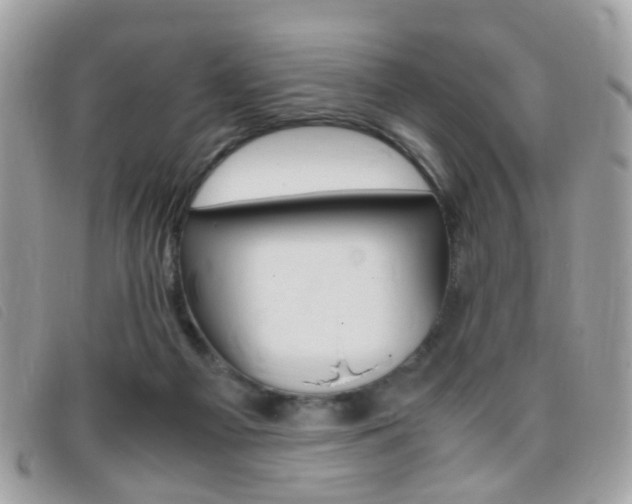 X0000095940121200801110903