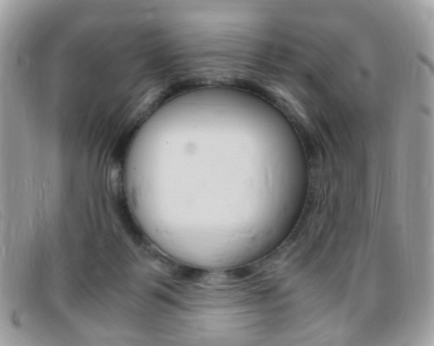 X0000095940123200801110903