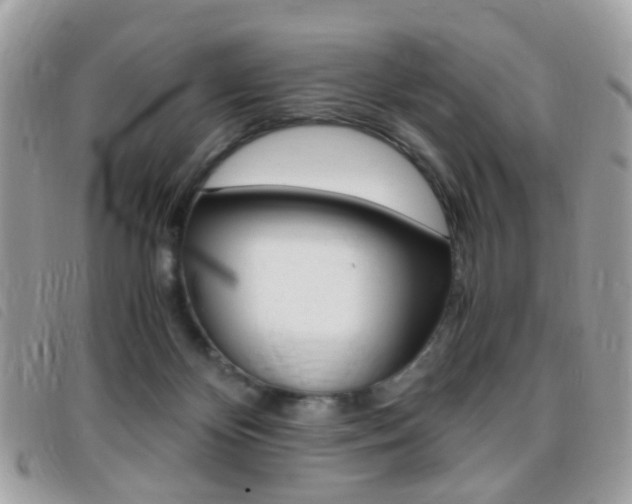 X0000095940124200801110903