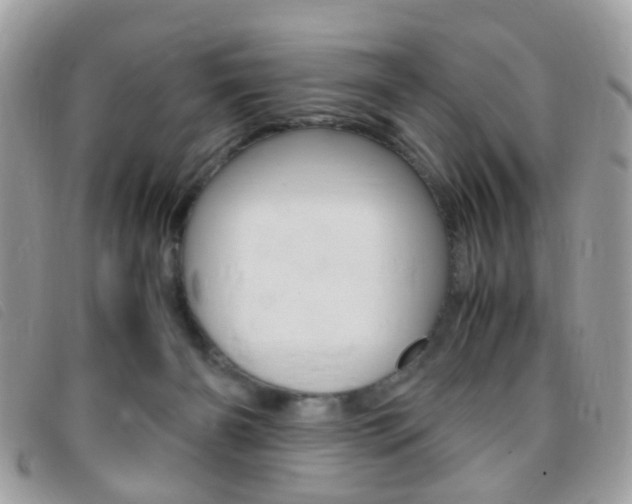 X0000095940126200801110903