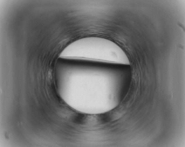 X0000095940127200801110903