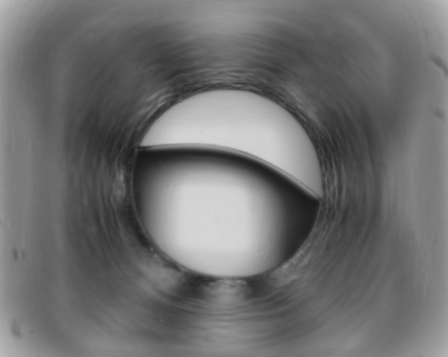 X0000095940128200801110903