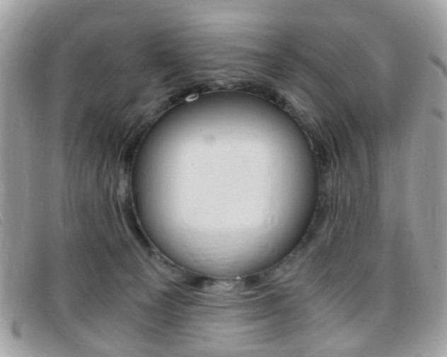 X0000095940129200801110903