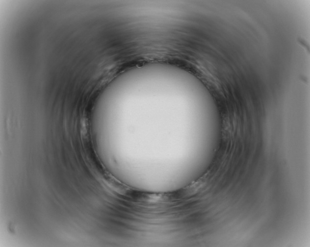 X0000095940130200801110903