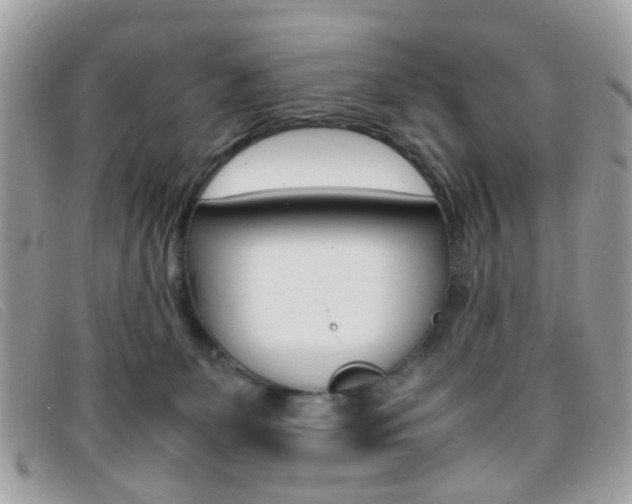 X0000095940131200801110902